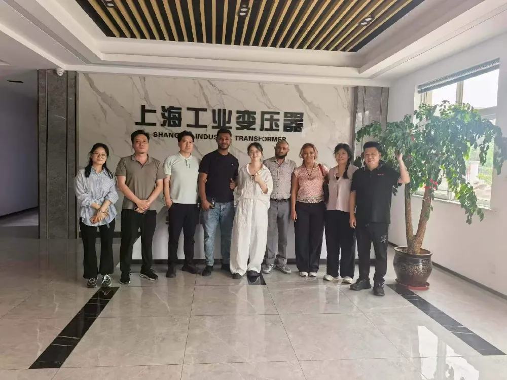 Soe tere tulemast! Etioopia delegatsioon külastab Shanghai Industrial Transformer Co., Ltd., et vahetada trafosid ja elektrijaotusseadmeid